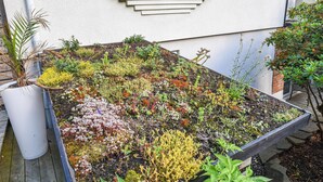 A tiered garden with various plants and a white wall in the background. - Stunning home in Göteborg with sauna (Göteborg)