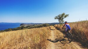 Un ciclista en un camino de tierra con vistas al mar.