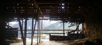 Wohlfühl-Angererhof: Dicht bij Drei Zinnen - Appartement Pisciadu (2P) - KNUS