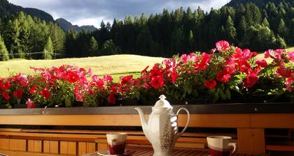 Cozy Angererhof: Near Drei Zinnen - Pisciadu Apartment (2P) - COMFORTABLE