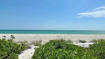 Condo, 1 Bedroom | Beach | On the beach