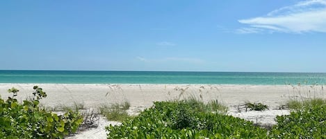 Condo, 1 Bedroom | Beach