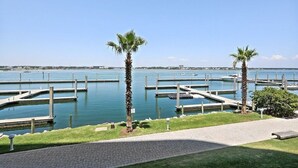 Een jachthaven met steigers en palmbomen, een heldere lucht en een verhard pad.