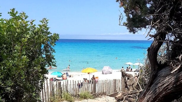 Un sentier qui longe la plage et mène à une étendue de sable où se trouvent des parasols et des gens.