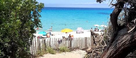 Nær stranden og solsenger