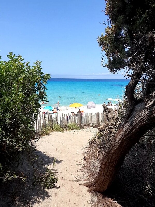 Beach nearby, sun loungers
