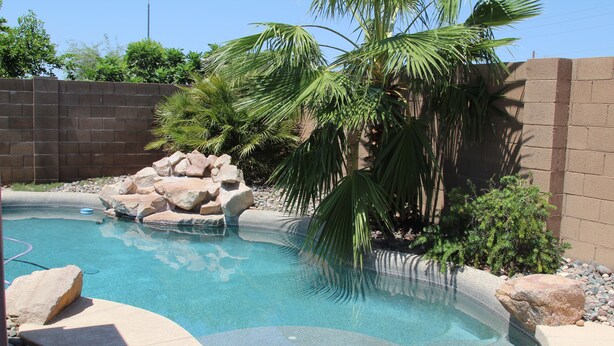 A swimming pool with a curved edge, surrounded by rocks and palm trees, with a brick wall in the background. - Private Heated Pool in Apache Junction (Apache Junction)