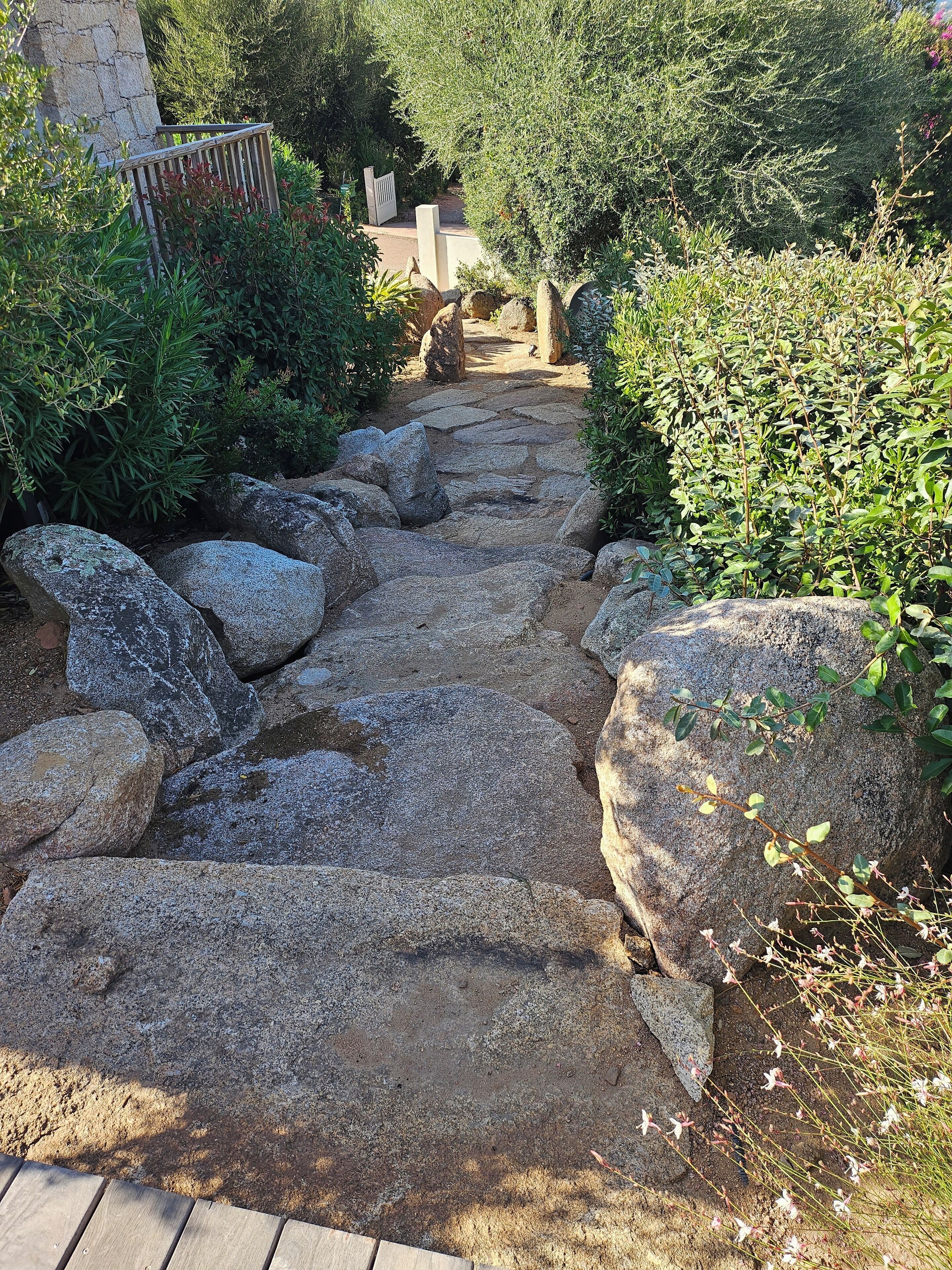 Un sentier de pierres bordé de gros rochers et d’une végétation luxuriante.