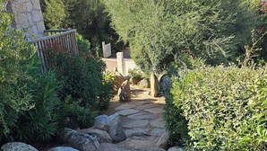 Un sentier de pierres bordé de gros rochers et d’une végétation luxuriante.