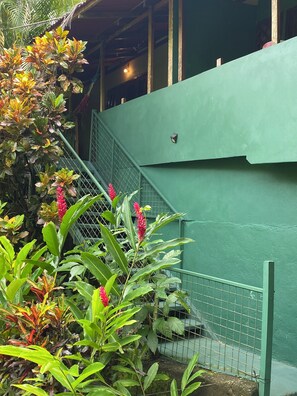 Exterior detail - TROGON BUNGA (Montezuma)