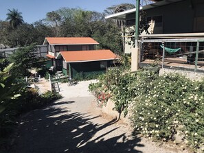 Property grounds - TROGON BUNGA (Montezuma)