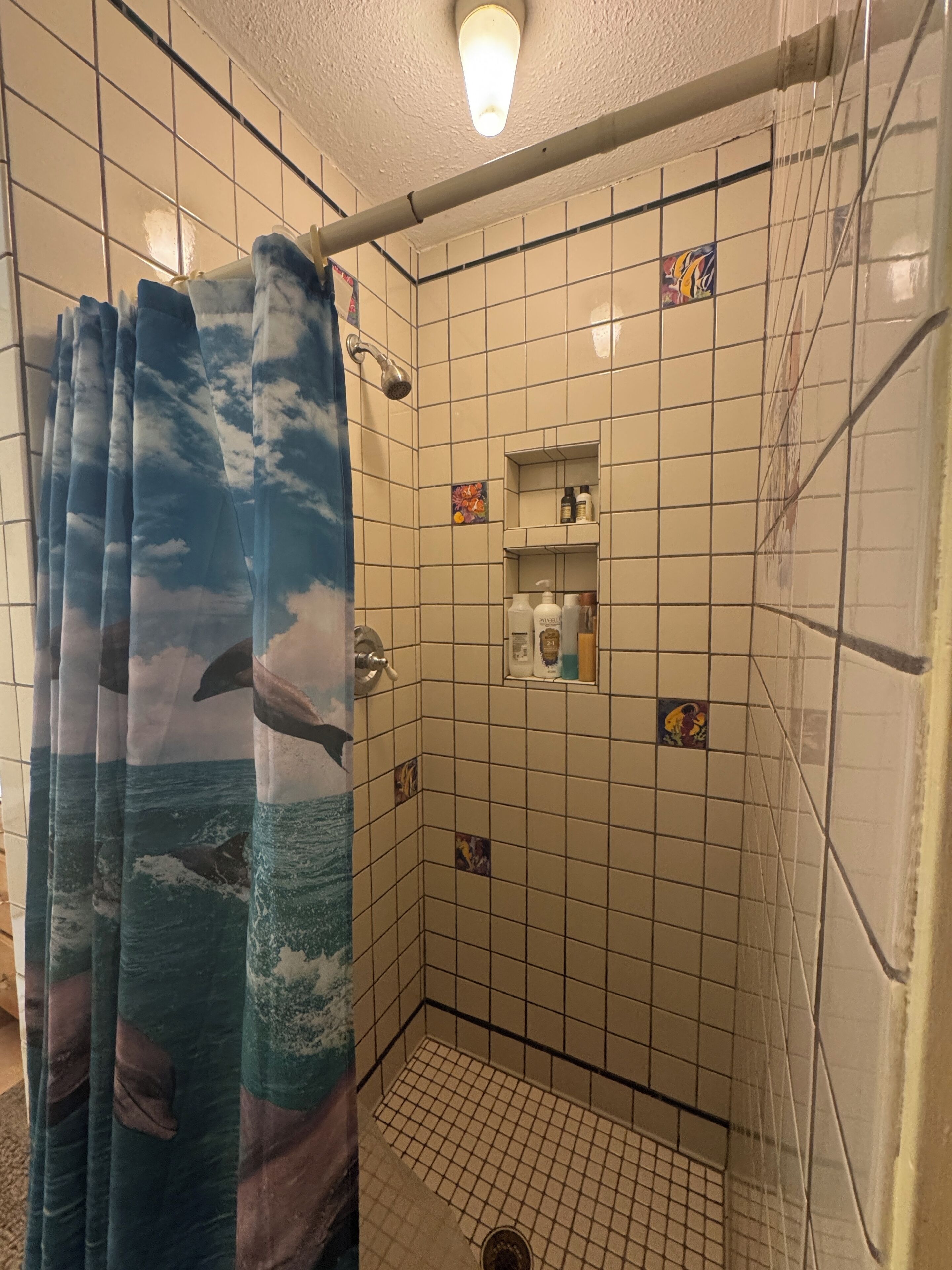 Douche, sèche-cheveux, serviettes fournies, savon