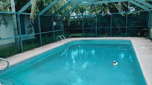A rectangular pool with clear blue water, surrounded by a metal fence and glass panels, with a person swimming in the center.