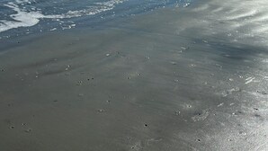 Una playa con olas suaves lamiendo la orilla, un cielo despejado y un velero a lo lejos.