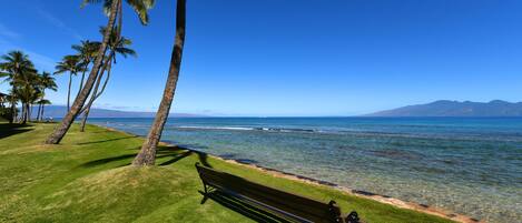 Beach nearby, sun-loungers, beach towels