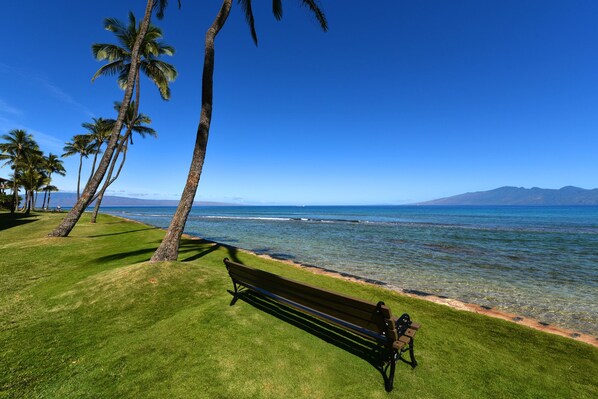 Beach nearby, sun-loungers, beach towels