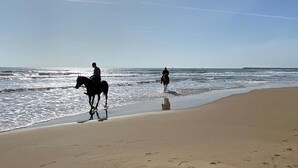 A beach with two people riding horses along the shoreline. - 2 bedroom stunning home in Torrenova (Torrenova)