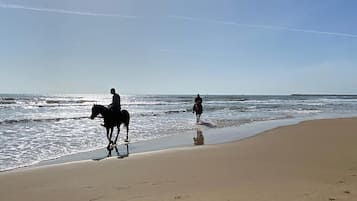 Beach nearby