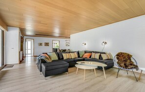 Smart-TV, Kamin