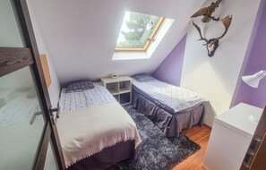 A small, compact room with two beds, a skylight, a wooden desk, and a mounted deer head.
