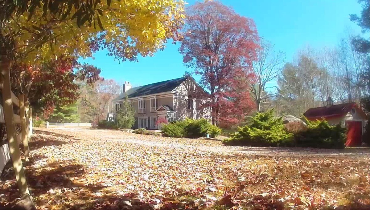 Image de profil de l’hôte