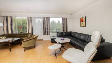 Una televisión, una chimenea