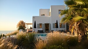 A modern white building with a pool, surrounded by tall grasses and palm trees. - Villa Santa Andrea with a fantastic 180 degree sea view (Mykonos)