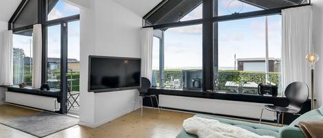 Televisión y chimenea