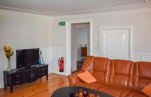 Fernseher, Kamin