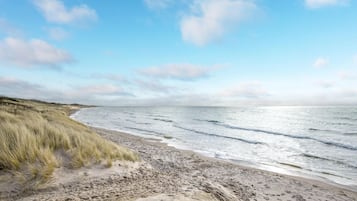 Tæt på stranden, fiskeri