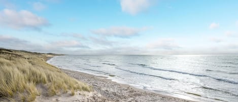 Beach nearby, fishing
