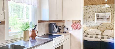 Fridge, oven, stovetop, coffee/tea maker