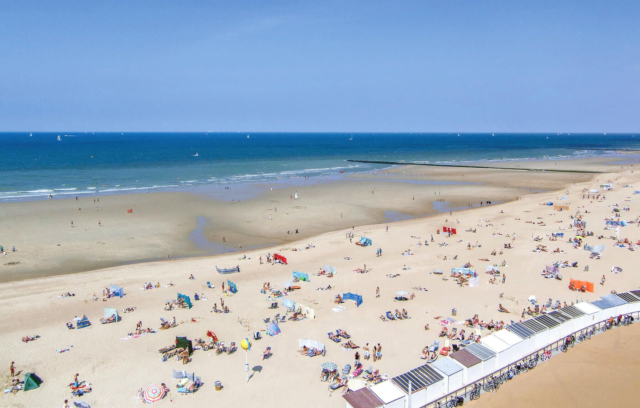 Una playa extensa con numerosas tumbonas y sombrillas, un cielo despejado y un mar tranquilo.