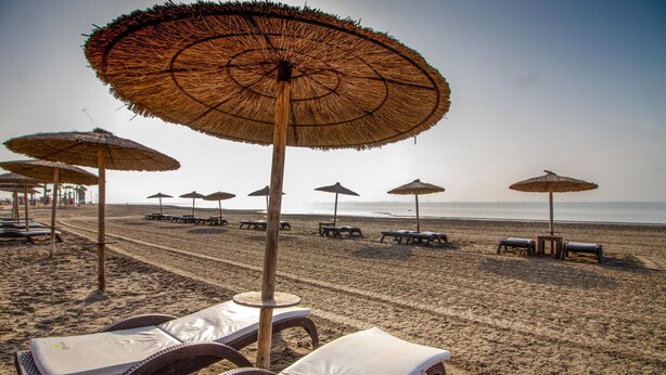 Una playa con filas de tumbonas y sombrillas de paja.