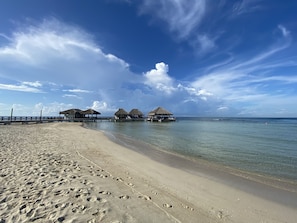 Una playa con agua cristalina, una orilla de arena y bungalows sobre el agua.