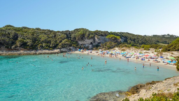 Ein Strand mit klarem türkisblauem Wasser, Menschen beim Schwimmen und Sonnenbaden, und ein felsiger Klippenhang mit Grünpflanzen im Hintergrund.