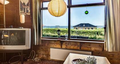 2 bedroom pet friendly home in Faaborg