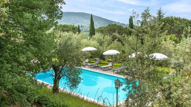 A pool area with lounge chairs and umbrellas, surrounded by greenery and a mountain in the background. - Cozy home in Cortona with kitchen (Cortona)