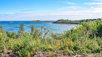 Beach nearby, fishing