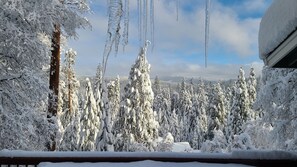 Property grounds - Forest View Cabin - 4 BR, Family & Pet-Friendly, AC, Game Area, & Close Hiking (Arnold)