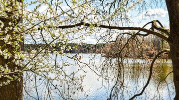 A serene lakeside view with trees and a clear sky.