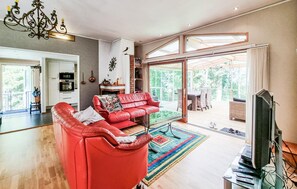 Televisión, chimenea y reproductor de DVD