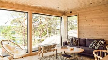 Smart TV y chimenea