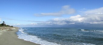 2-roms nydelig hjem i Aleria