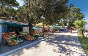 Miscelánea