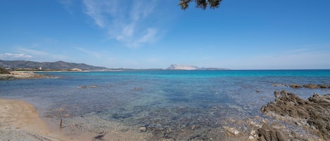 صيد الأسماك