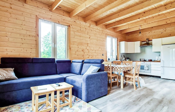 Smart-TV, Kamin