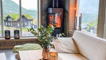 TV, fireplace