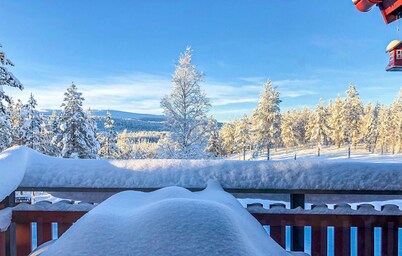 4 bedroom stunning home in Särna