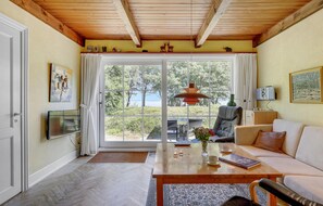 Televisión y chimenea 